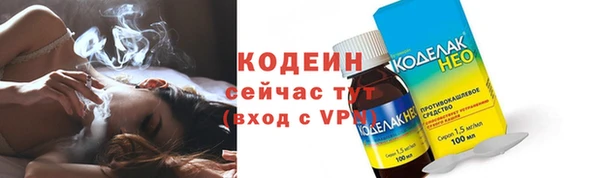 прущие грибы Навашино