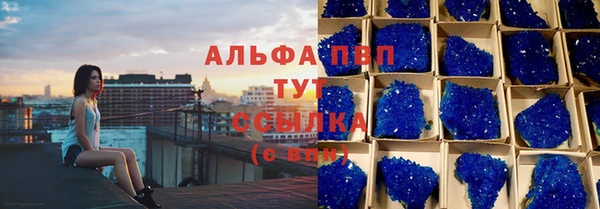 прущие грибы Навашино